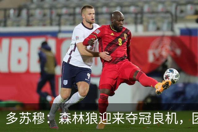 多苏穆：森林狼迎来夺冠良机，团结是关键
